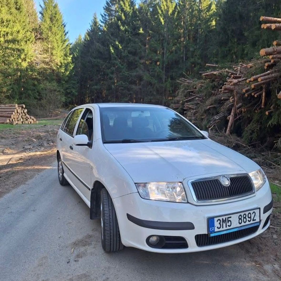 Soutěžní fotografie - Bile ferarri,  Škoda fabia