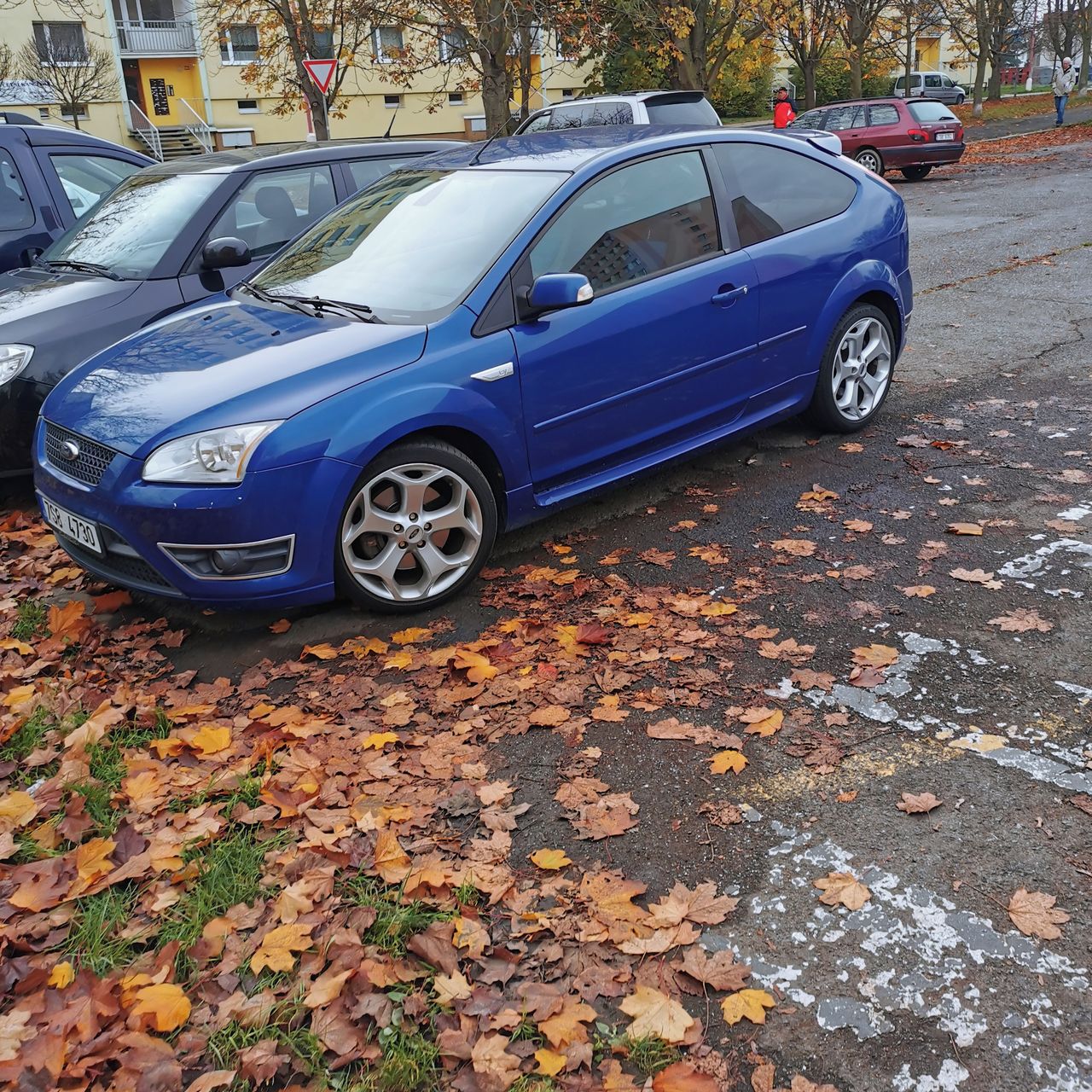 Soutěžní fotografie - Fočus,  Ford focus ST