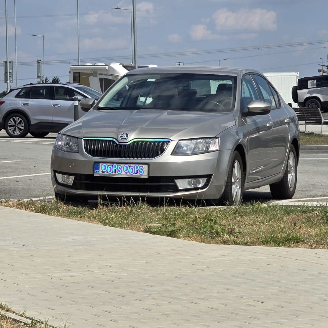 Soutěžní fotografie - Mazlík,  Škoda Octavia III.