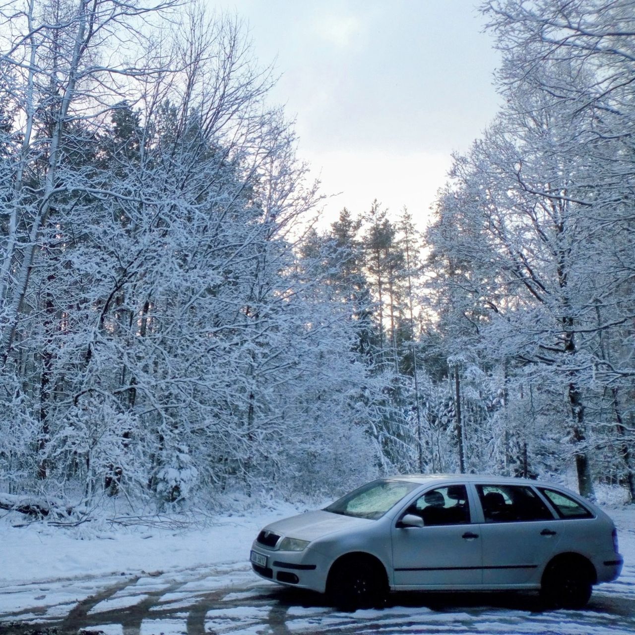 Soutěžní fotografie - Nemo,  Škoda Fabia Combi