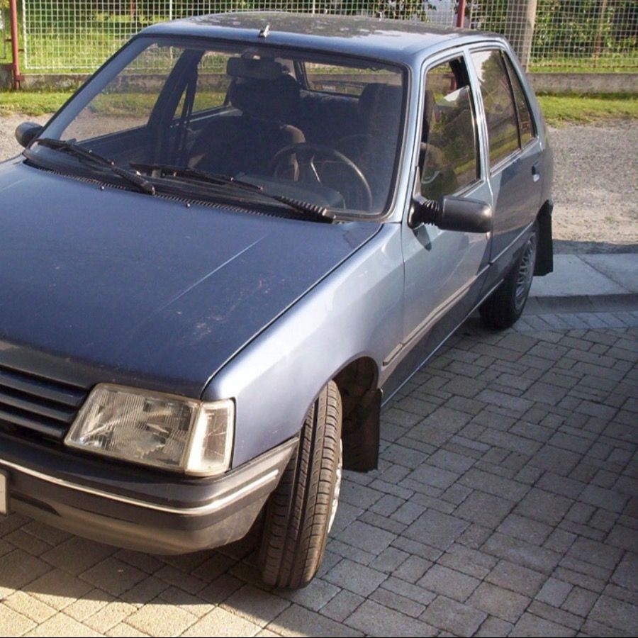 Soutěžní fotografie - Pažitka,  Peugeot 205