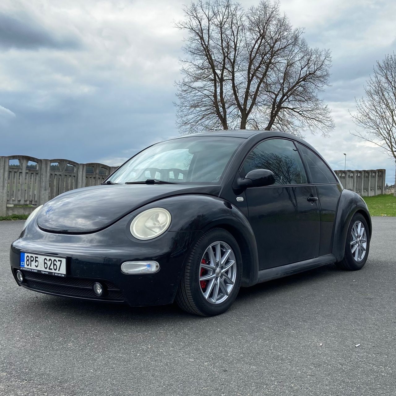 Soutěžní fotografie - Brouček,  Volkswagen New Beetle