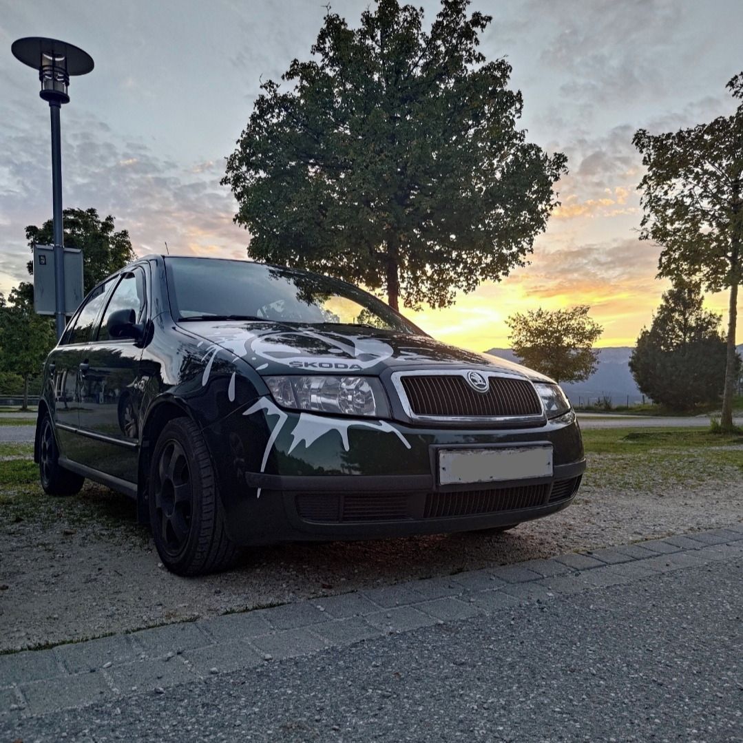 Soutěžní fotografie - Želva,  Škoda Fabia 1